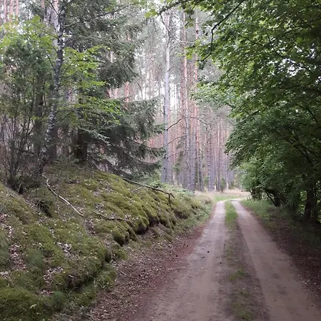 Casa de Férias U Anusi W Borach Mogiel