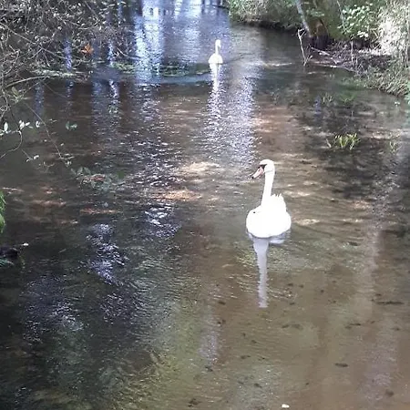 U Anusi W Borach Holiday home