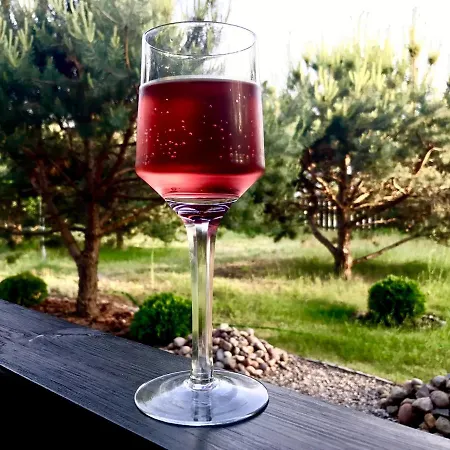 U Anusi W Borach Holiday home Mogiel