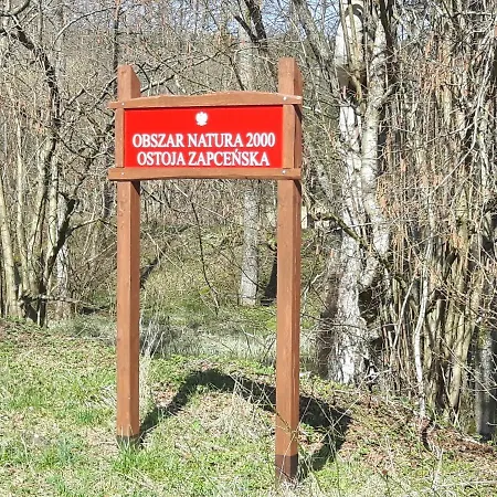 U Anusi W Borach Holiday home Mogiel