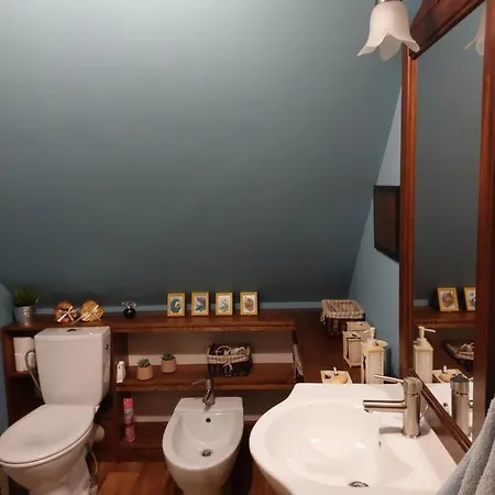 Holiday home U Anusi W Borach