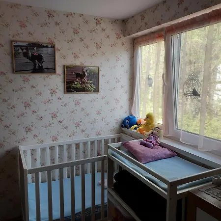 U Anusi W Borach Holiday home *