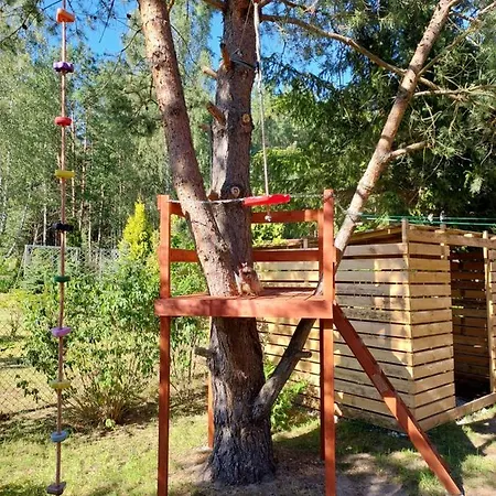 U Anusi W Borach Holiday home *