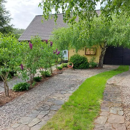 U Anusi W Borach * Mogiel