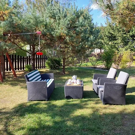 U Anusi W Borach Mogiel