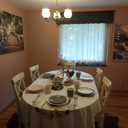 U Anusi W Borach * Mogiel