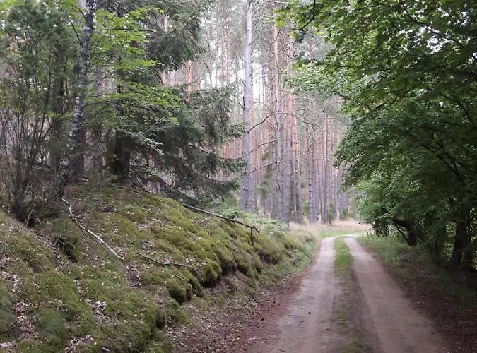 Ferienhaus U Anusi W Borach Mogiel