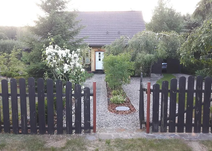 U Anusi W Borach * Mogiel