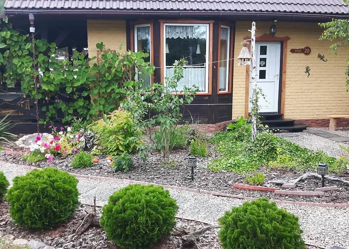 U Anusi W Borach * Mogiel