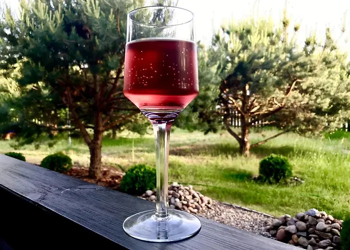 U Anusi W Borach Ferienhaus Mogiel