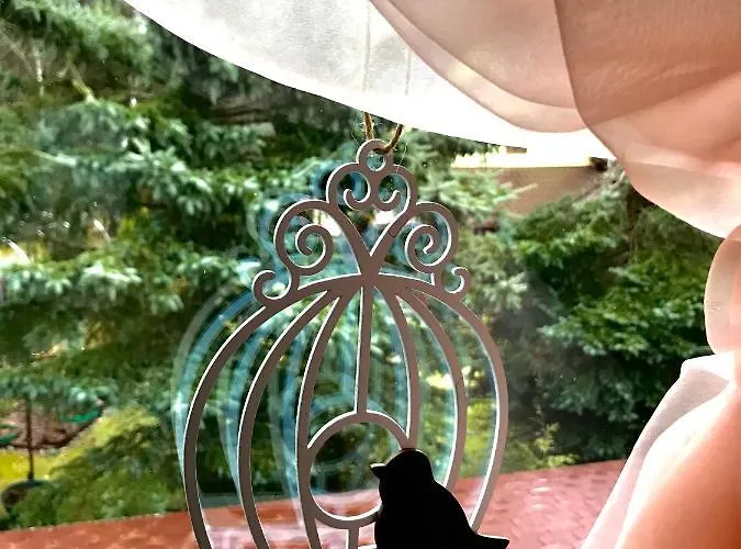 U Anusi W Borach * Mogiel