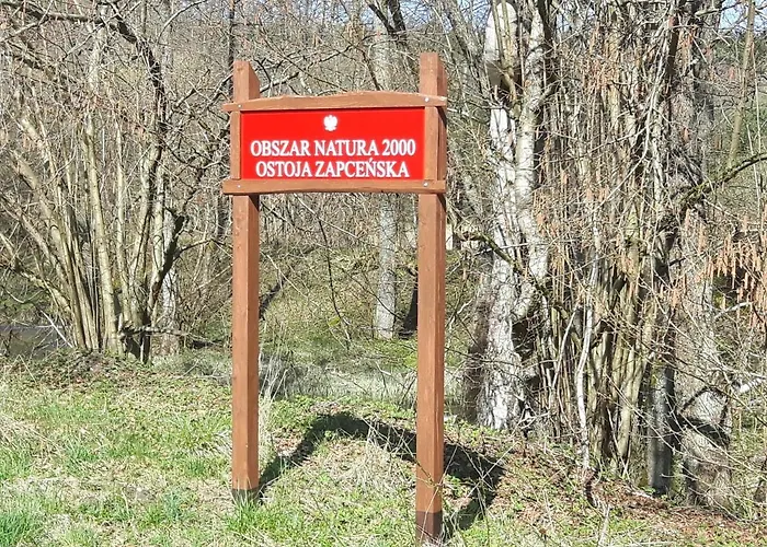 U Anusi W Borach Ferienhaus Mogiel