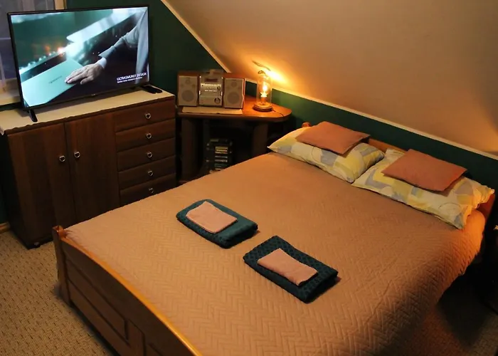 U Anusi W Borach * Mogiel