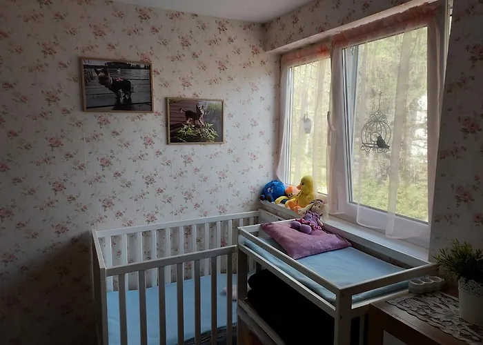 U Anusi W Borach Ferienhaus *