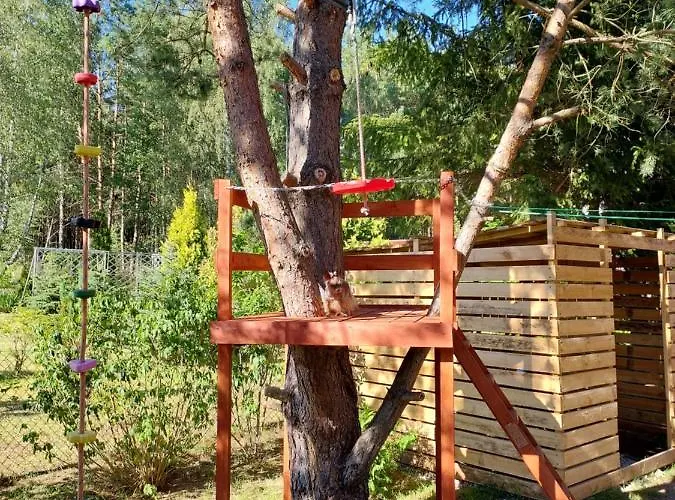 U Anusi W Borach Ferienhaus *