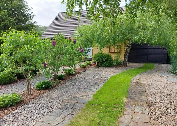 U Anusi W Borach * Mogiel