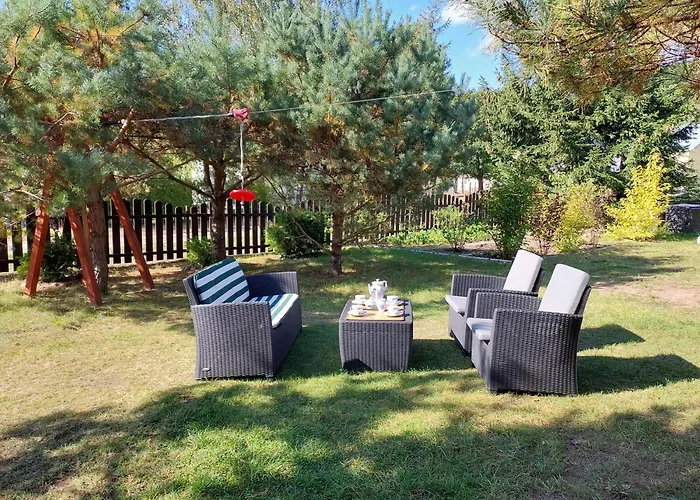 U Anusi W Borach Mogiel