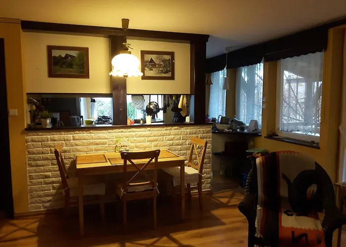 U Anusi W Borach * Mogiel