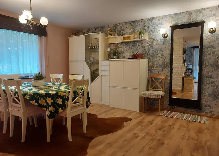 U Anusi W Borach Ferienhaus *