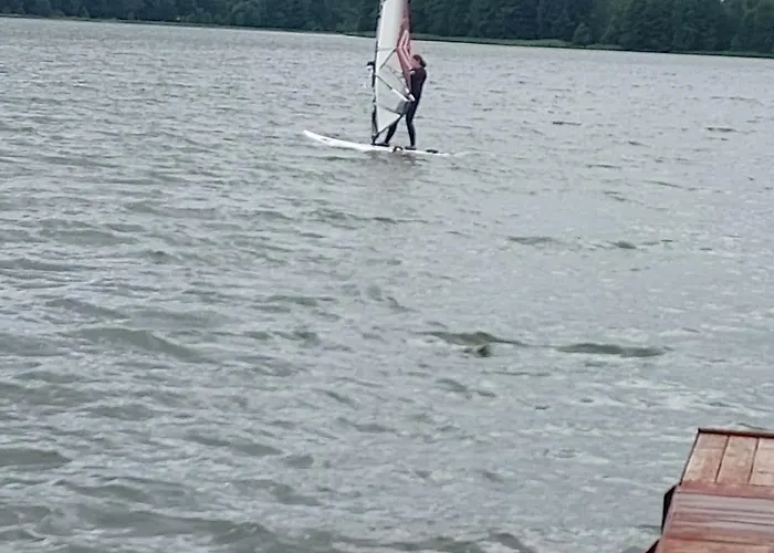 U Anusi W Borach Mogiel